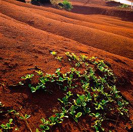 《自杀小队：消灭正义联盟》第一赛季实机 3月28日上线